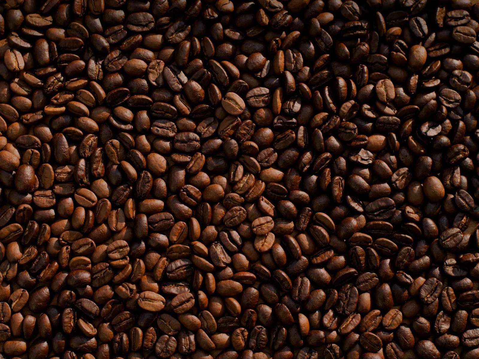 Granos de café tostados vistos de cerca.