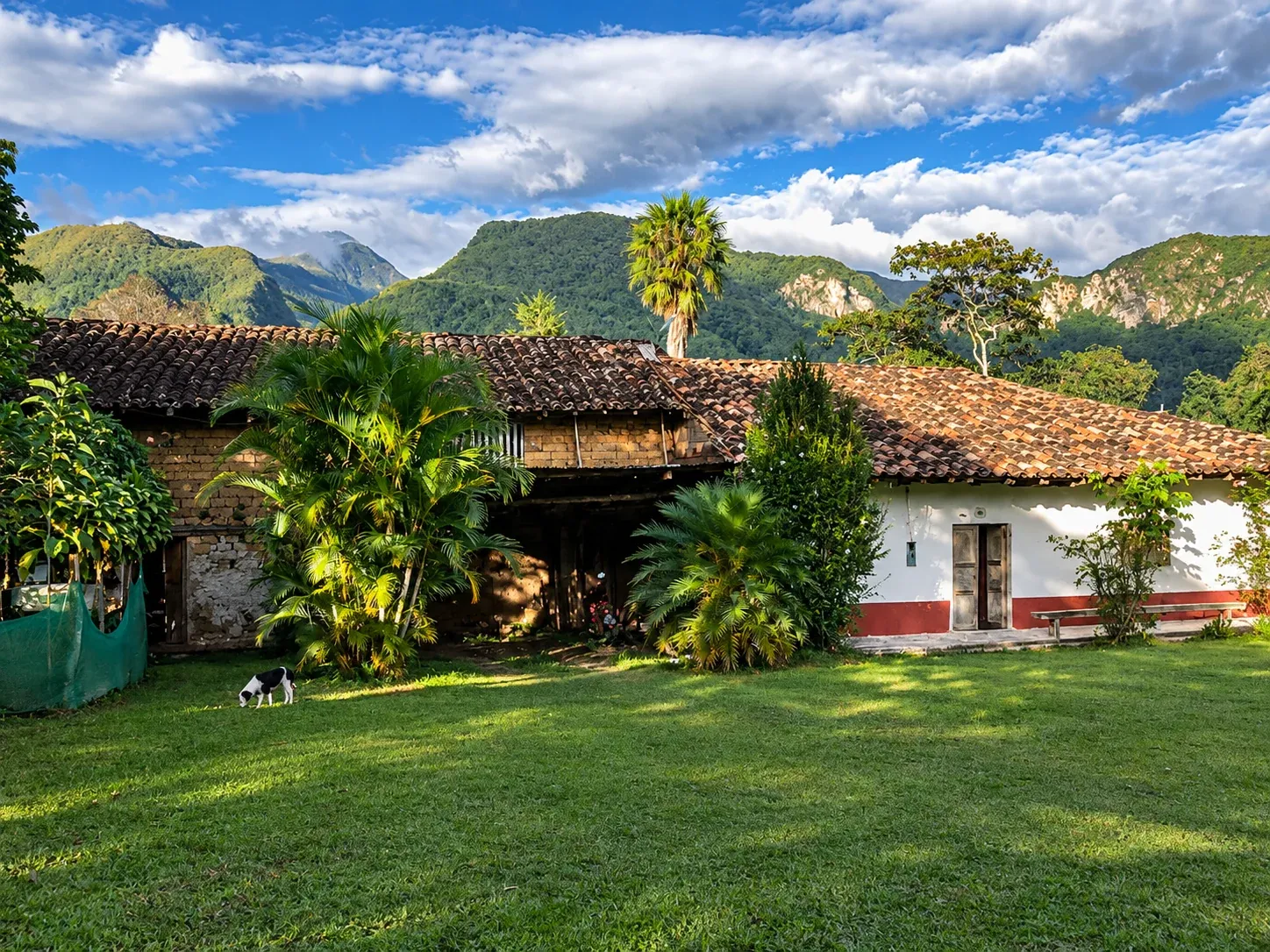 Casa de teja con muros de adobe y una pared blanca con zócalo rojo, entre palmeras y césped, con montañas verdes al fondo y un perro en el jardín.