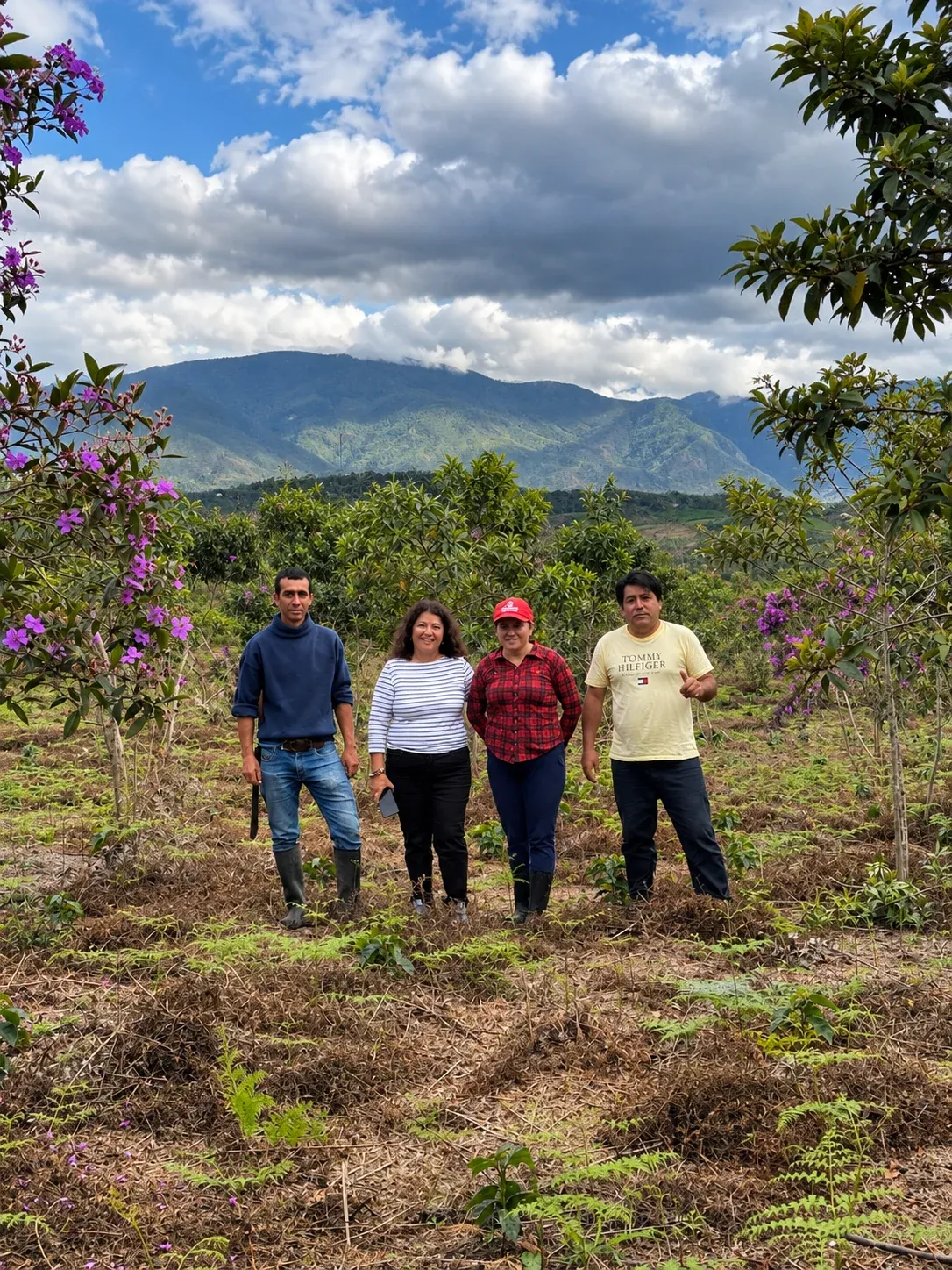 Cuatro personas de pie en un terreno abierto con árboles de flores moradas y montañas al fondo.