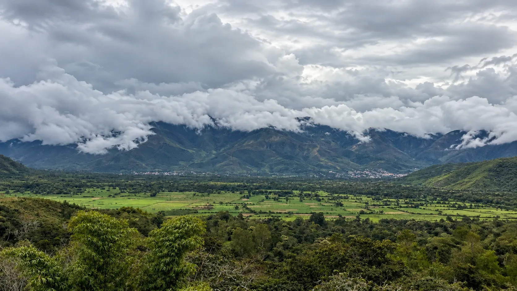 Montañas y bosque nublado de Rodríguez de Mendoza, Amazonas, Perú.